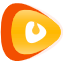 online video downloader